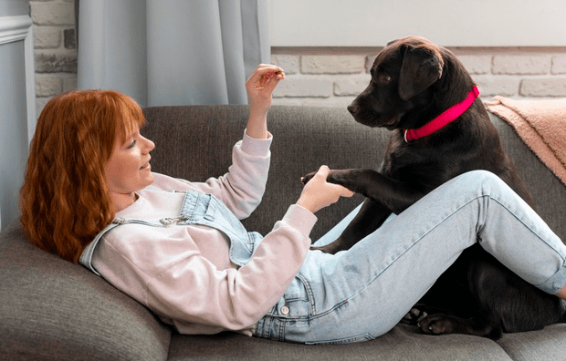 communication with your dog