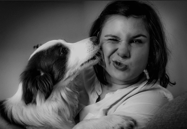 Dog licking a person