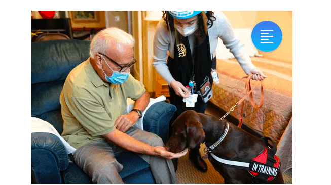 nursing residents in isolation - Dogs are making life easy during the lockdown