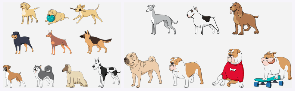 dog breed facts