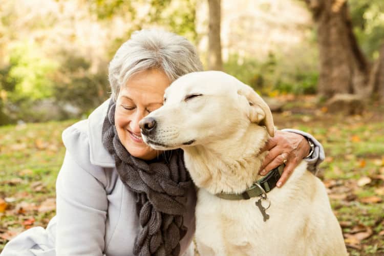 高齢者と退職者のためのトップ10の最高の犬種 Dogsvets Com