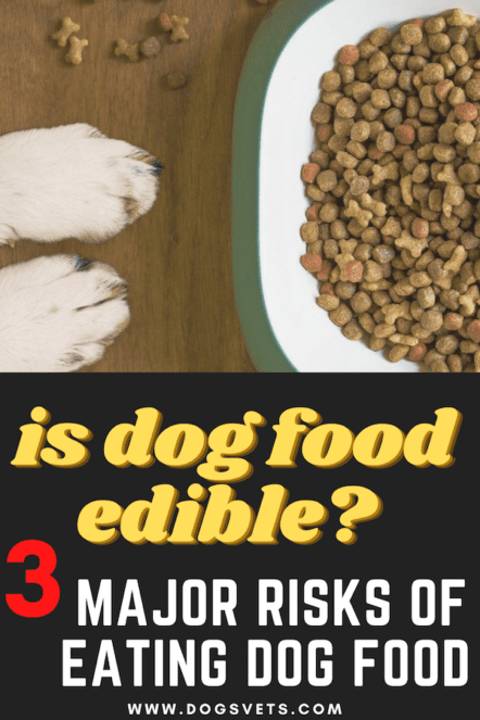 Risks of eating dog food