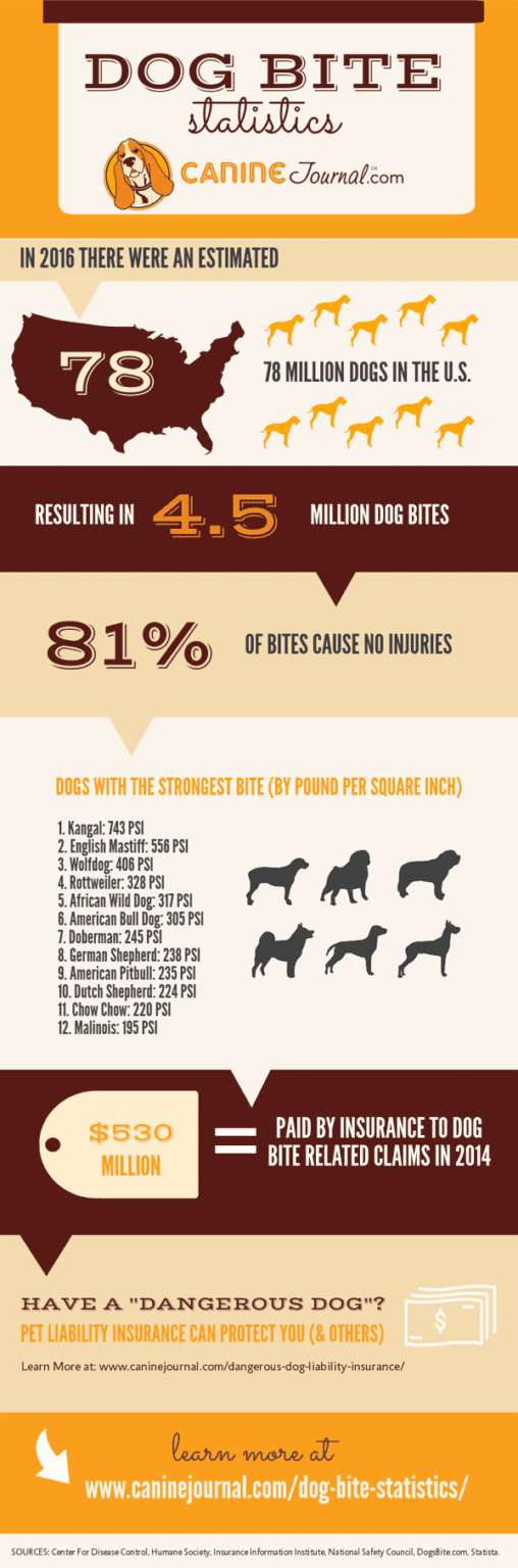 Which Dog Breeds Bite The Most 10 Most Dangerous Dog Bite Statistics