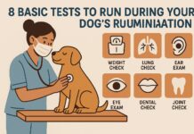 8 Basic Tests to Run During Your Dog’s Routine Examination 8 Basic Tests to Run During Your Dog's Routine Examination -