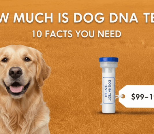 How Much Does a Dog Dna Test Cost At a Vet? 10 Things To Know How Much Does a Dog Dna Test Cost At a Vet? 10 Things To Know