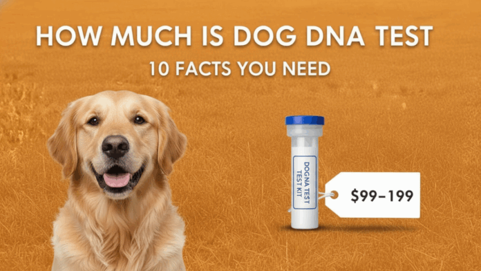 How Much Does a Dog Dna Test Cost At a Vet? 10 Things To Know