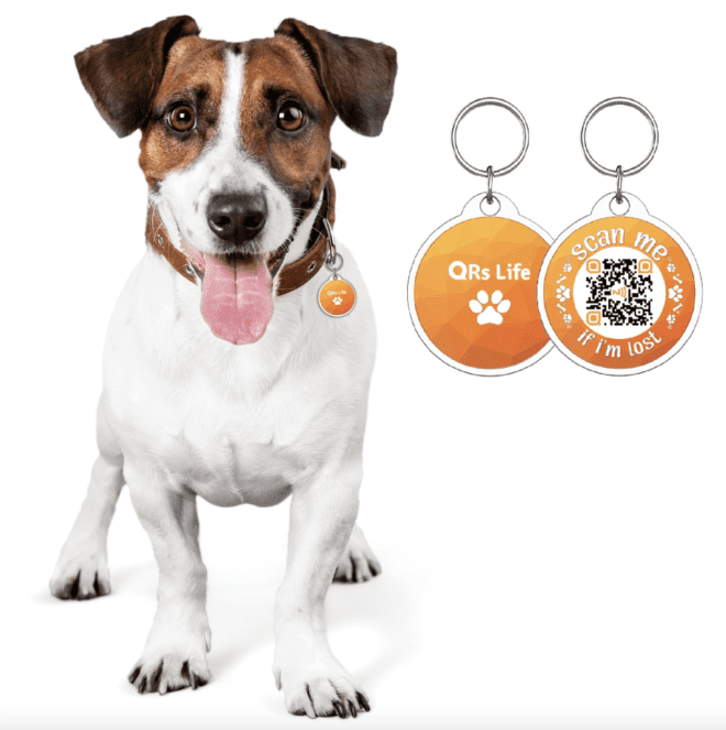 Bonus gift 83. Dog tag with QR code 