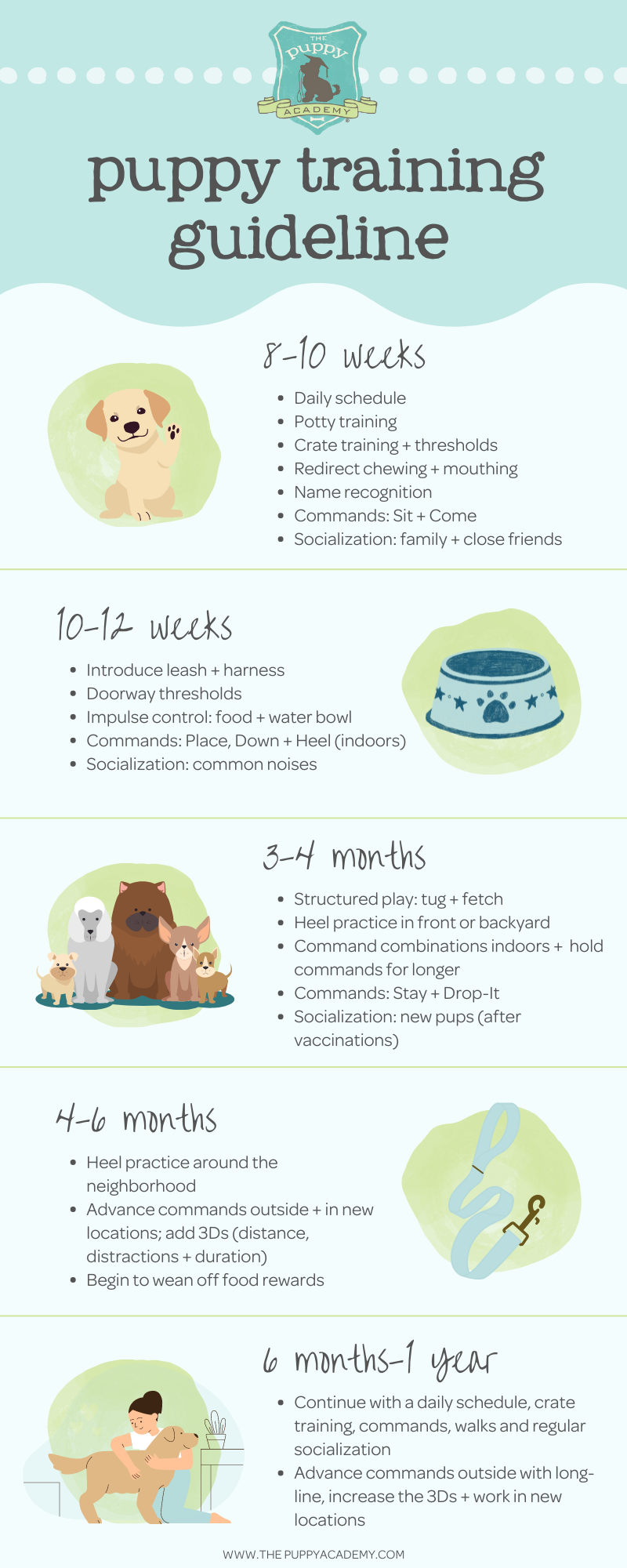 dog-training-Infographics 