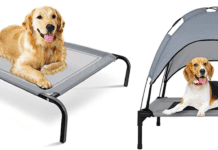 Why do dogs dig on couches? Top 7 best strongest dog beds for Chewers Why do dogs dig on couches? Top 7 best strongest dog beds for Chewers