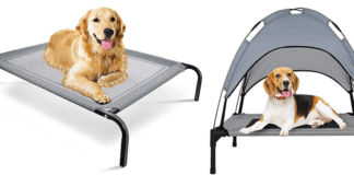 Why do dogs dig on couches? Top 7 best strongest dog beds for Chewers Why do dogs dig on couches? Top 7 best strongest dog beds for Chewers