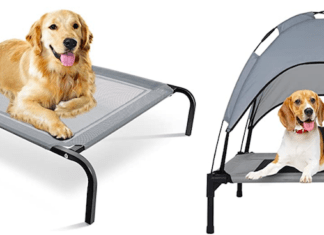 Why do dogs dig on couches? Top 7 best strongest dog beds for Chewers