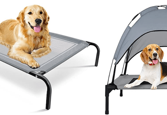 Why do dogs dig on couches? Top 7 best strongest dog beds for Chewers Why do dogs dig on couches? Top 7 best strongest dog beds for Chewers