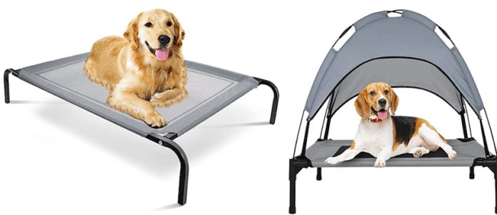 Why do dogs dig on couches? Top 7 best strongest dog beds for Chewers