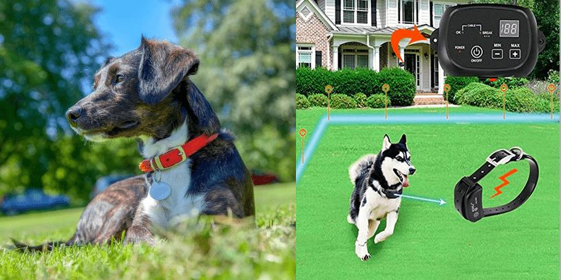 Valla para perros, dos tamaños, barrera para perros invisible