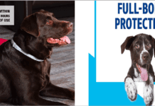 Can flea collars cause cancer in dogs? Top 7 : Best Flea Collars For Dogs The Top 7 : Best Flea Collars For Dogs 2021