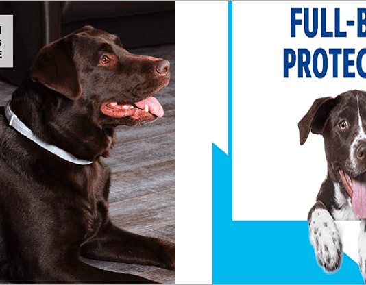 Can flea collars cause cancer in dogs? Top 7 : Best Flea Collars For Dogs The Top 7 : Best Flea Collars For Dogs 2021