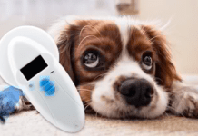 Can a dog or pet be microchipped twice? 3 Shocking Facts You must Know Can a dog or pet be microchipped twice