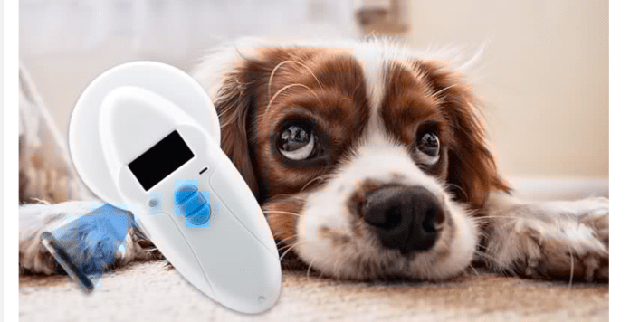 Může být pes nebo domácí zvíře dvakrát čipován?