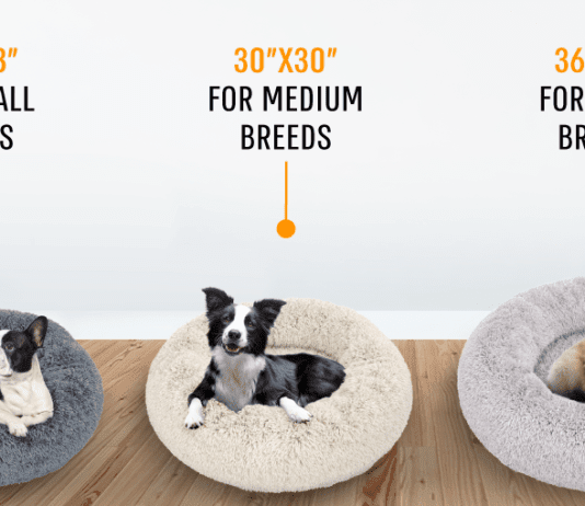 How Can the Best Calming Bed Help If Your Dog Has Separation Anxiety How Can the Best Calming Bed Help If Your Dog Has Separation Anxiety?