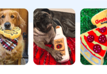 What Accessories Do You Need for Your Dog Walking Business? What Accessories Do You Need for Your Dog Walking Business?