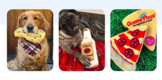 What Accessories Do You Need for Your Dog Walking Business? What Accessories Do You Need for Your Dog Walking Business?