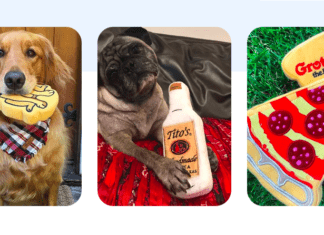 What Accessories Do You Need for Your Dog Walking Business?