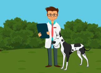 How to Set Up a Successful Veterinarian Practice with the Right Equipment