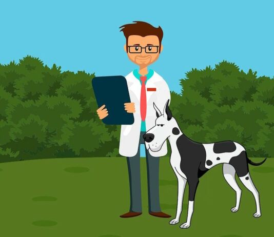 How to Set Up a Successful Veterinarian Practice with the Right Equipment How to Set Up a Successful Veterinarian Practice with the Right Equipment