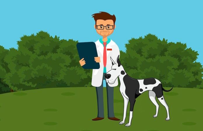 Cara Menetapkan Amalan Doktor Haiwan yang Berjaya dengan Peralatan yang Betul