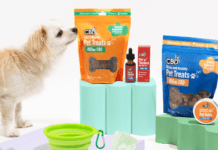 Is there safety in using CBD for pets? All that you need to know Is there safety in using CBD for pets? All that you need to know