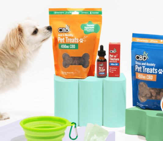 Is there safety in using CBD for pets? All that you need to know Is there safety in using CBD for pets? All that you need to know