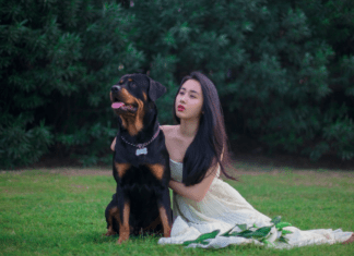 Is Rottweiler a good pet for a family