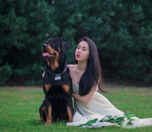 Is Rottweiler a good pet for a family? 5 Amazing Ways to Know Is Rottweiler a good pet for a family