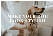 Products To Make Your Dog Look Smart | 7 Best Grooming Items for dogs Products To Make Your Dog Look Smart | Best Grooming Items