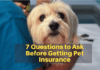 7 Questions to Ask Before Getting Pet Insurance