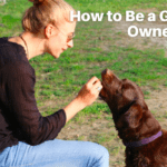 How to Be a Great Dog Owner – 5 Things to Know How to Be a Great Dog Owner