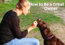 How to Be a Great Dog Owner – 5 Things to Know How to Be a Great Dog Owner