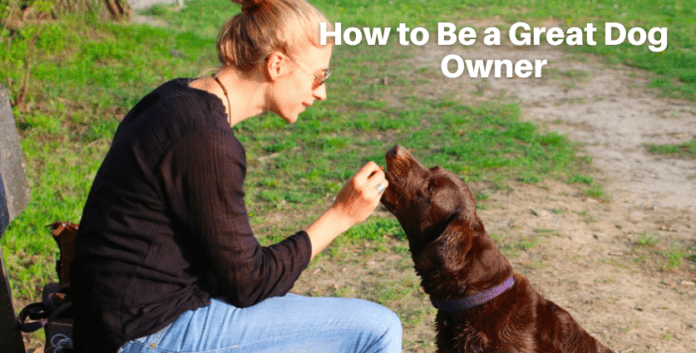 How to Be a Great Dog Owner