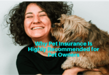 Why Pet Insurance Is Highly Recommended for Pet Owners Why Pet Insurance Is Highly Recommended for Pet Owners