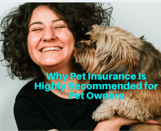 Why Pet Insurance Is Highly Recommended for Pet Owners Why Pet Insurance Is Highly Recommended for Pet Owners