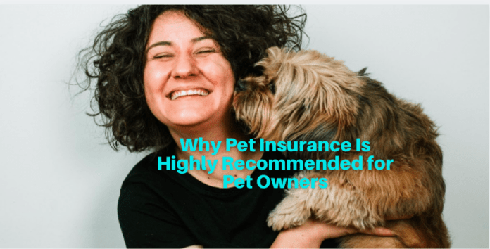 Why Pet Insurance Is Highly Recommended for Pet Owners