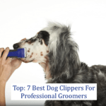 Top: 7 Best Dog Clippers For Professional Groomers