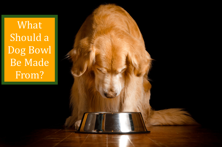 What Should a Dog Bowl Be Made From?