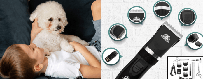 Top: 13 dog grooming tools for cleaning your pet at home [Grooming Guide]