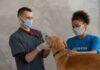 Pet Health: The Importance of Routine Checkups & How Often Should Your Pet Visit? Pet Health: The Importance of Routine Checkups & How Often Should Your Pet Visit?
