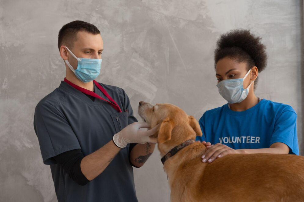 Pet Health: The Importance of Routine Checkups & How Often Should Your Pet Visit?