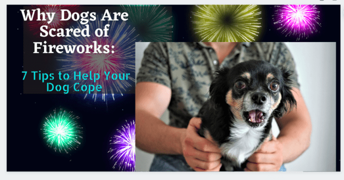 Why Dogs Are Scared of Fireworks: 7 Tips to Help Your Dog Cope