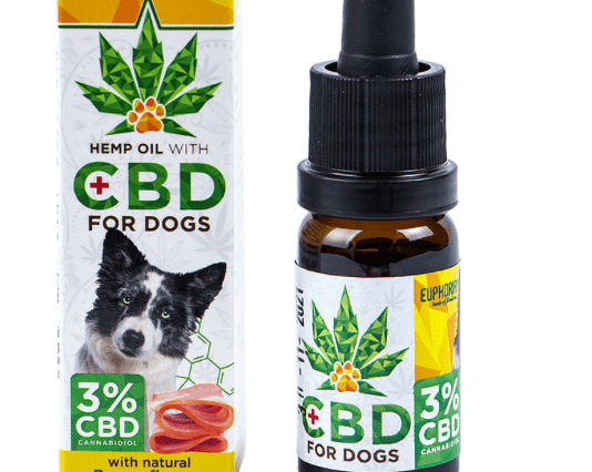 Top 7 Oils for Dogs and Their Benefits Top 7 Oils for Dogs and Their Benefits