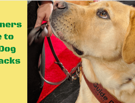 Pet owners guide to easy dog care hacks Pet Owners Guide to Easy Dog Care Hacks