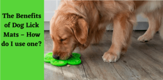 The Benefits of Dog Lick Mats – How do I use one? The Benefits of Dog Lick Mats – How do I use one?